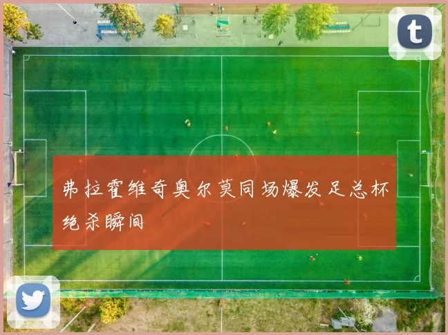弗拉霍维奇奥尔莫同场爆发足总杯绝杀瞬间