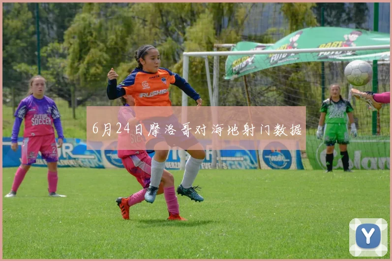 6月24日摩洛哥对海地射门数据