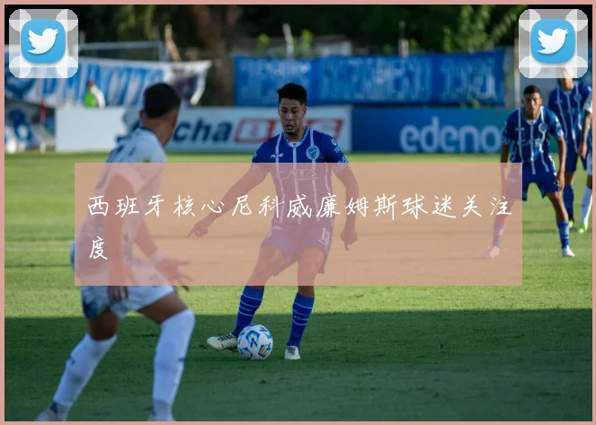 西班牙核心尼科威廉姆斯球迷关注度