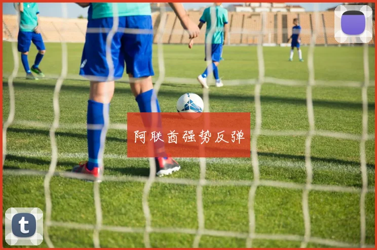 阿联酋强势反弹