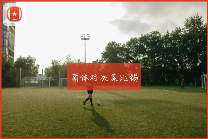 葡体对决莱比锡