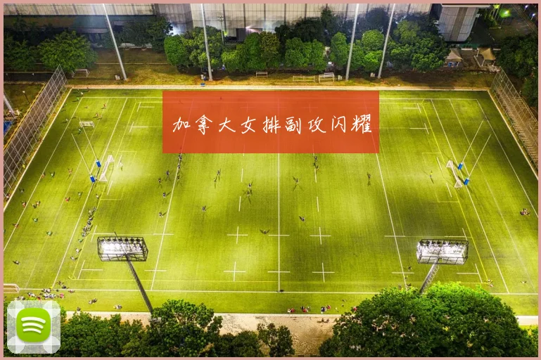 加拿大女排副攻闪耀