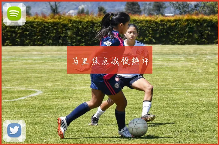 马里焦点战役热评