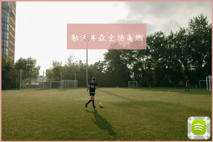勒沃库森全场高燃