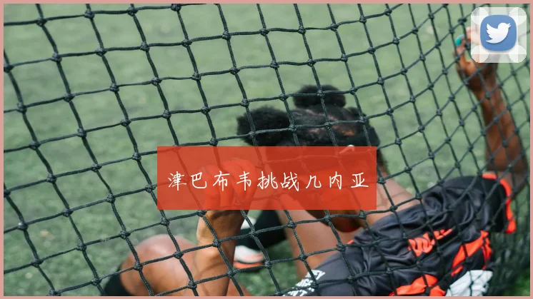 津巴布韦挑战几内亚