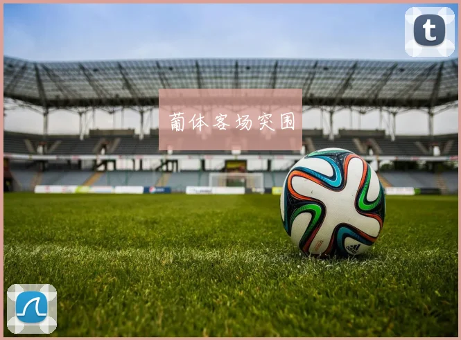 葡体客场突围