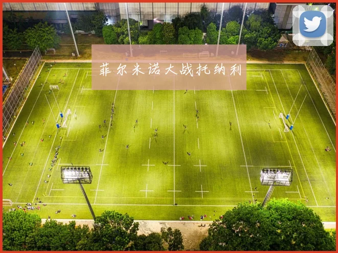 菲尔米诺大战托纳利