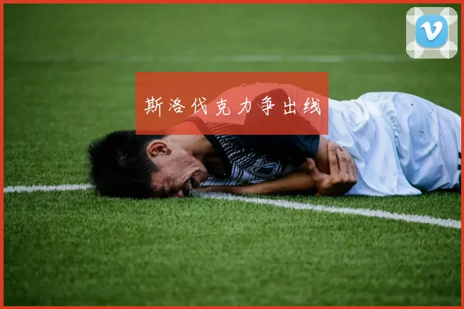 斯洛伐克力争出线
