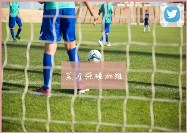 莱万强碰加维