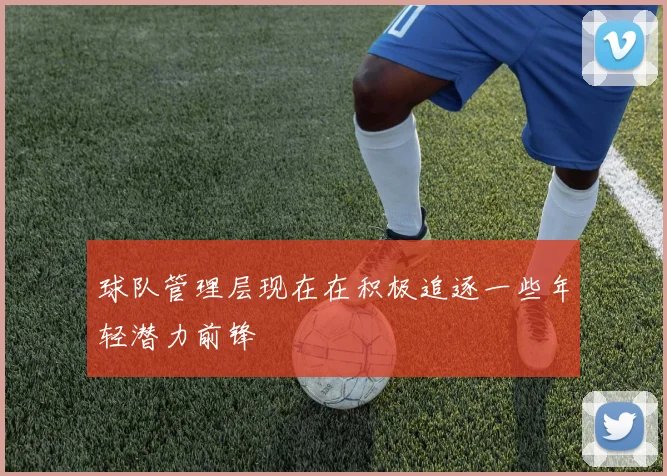 球队管理层现在在积极追逐一些年轻潜力前锋