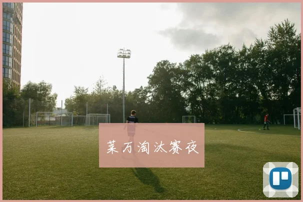 莱万淘汰赛夜