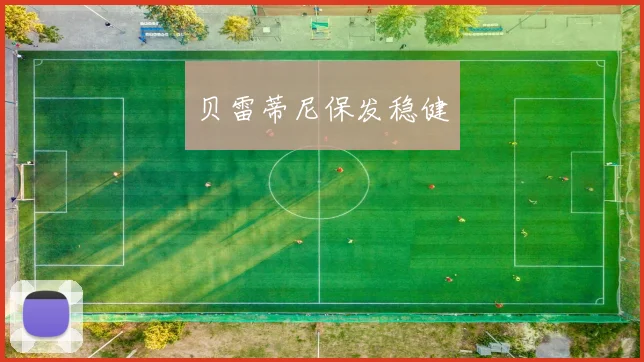 贝雷蒂尼保发稳健