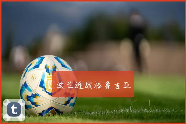 波兰迎战格鲁吉亚