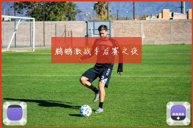 鹈鹕激战季后赛之夜