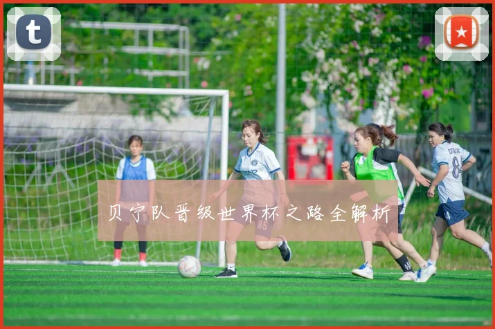 贝宁队晋级世界杯之路全解析