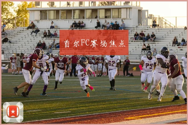 首尔FC赛场焦点