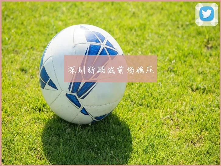 深圳新鹏城前场施压