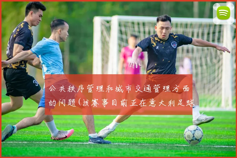 公共秩序管理和城市交通管理方面的问题(该赛事目前正在意大利足球场举行)