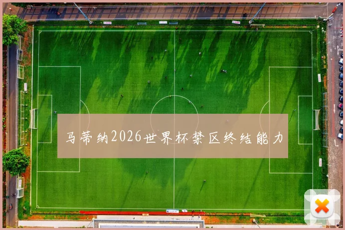 马蒂纳2026世界杯禁区终结能力