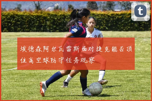 埃德森阿尔瓦雷斯面对捷克能否顶住高空球防守任务观察