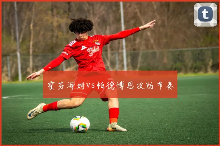 霍芬海姆vs帕德博恩攻防节奏