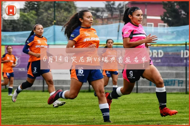6月14日突尼斯vs瑞典首发名单