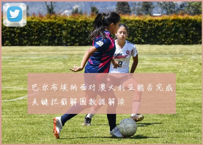 巴尔布埃纳面对澳大利亚能否完成关键拦截解围数据解读