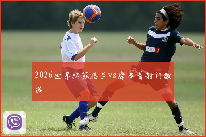 2026世界杯苏格兰vs摩洛哥射门数据