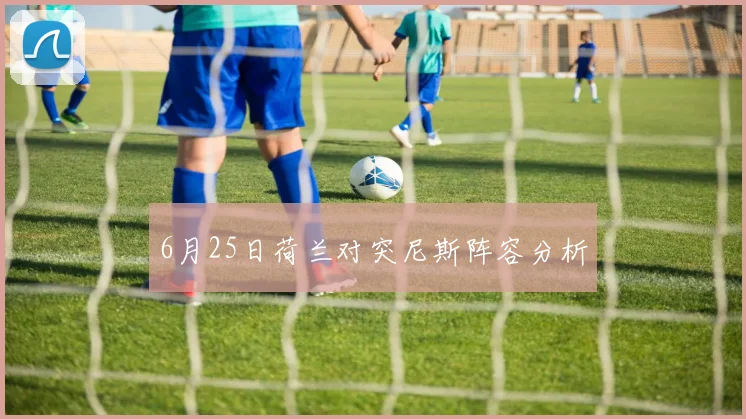 6月25日荷兰对突尼斯阵容分析
