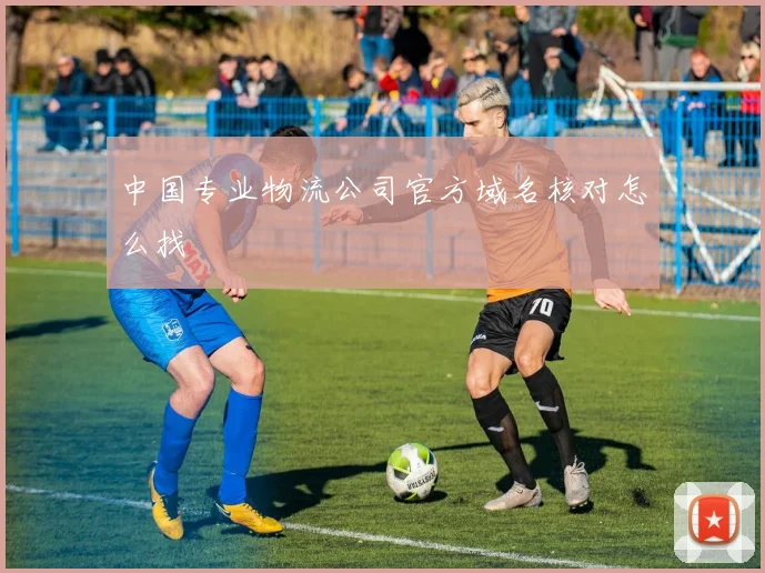 中国专业物流公司官方域名核对怎么找